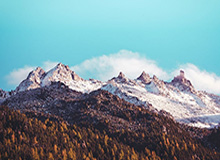 九游体育app-皇马官宣阿韦洛亚出任一队主帅 执教时长未披露